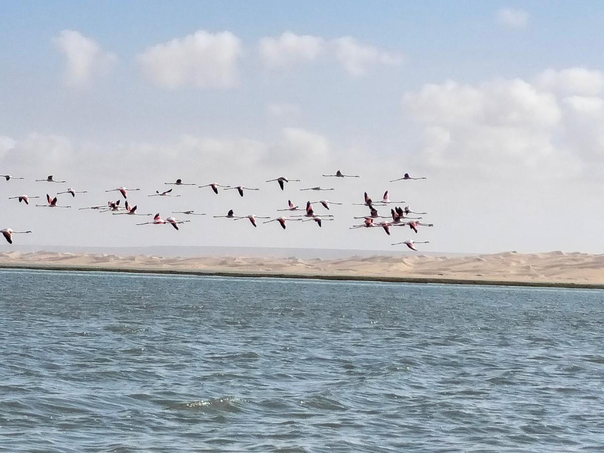 Hotel El Ghazi Tarfaya エクステリア 写真